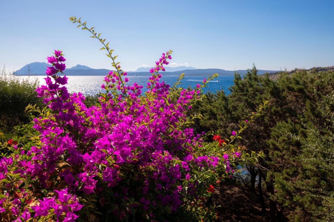 Splendido Appartamento Vista Mare ポルト・ロトンド エクステリア 写真